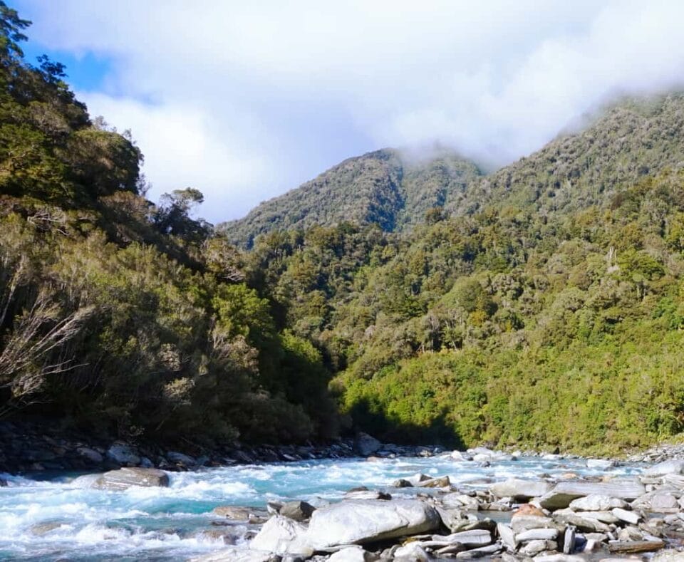 About Us: Nature’s rare carb.